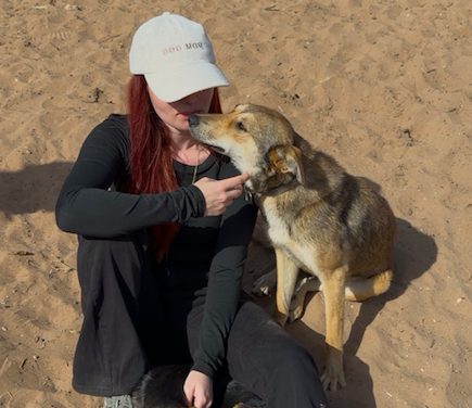 Lloba, chien sauvé par Wild Sun Rescue