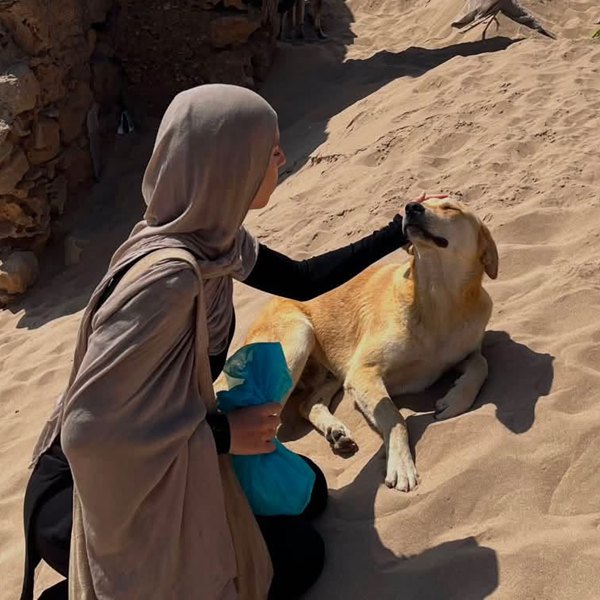 Anissa, secrétaire de l’association, auprès d’un chien à Essaouira