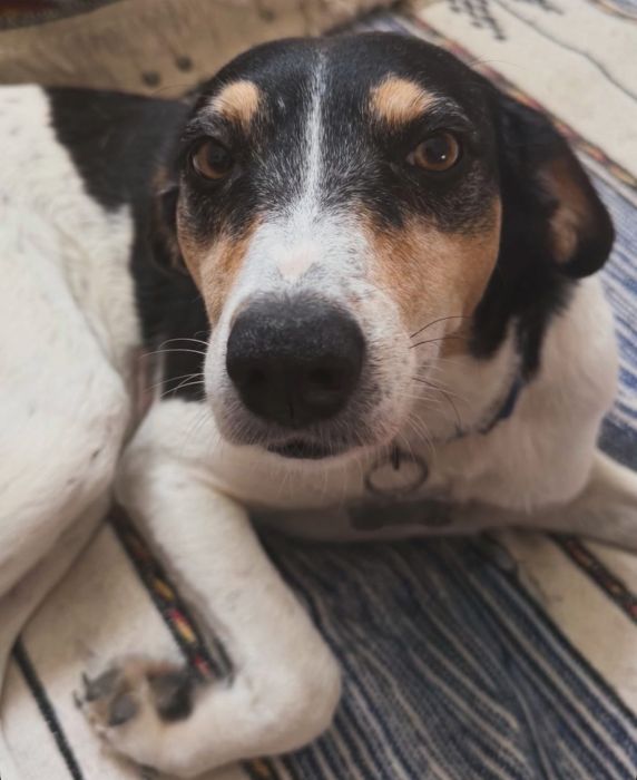 Pepa