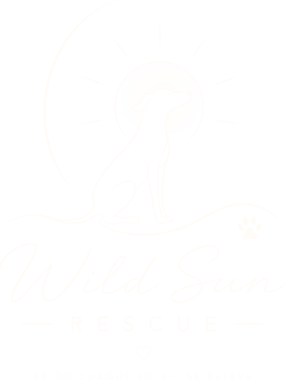 Wild Sun Rescue — là où chaque soleil se relève